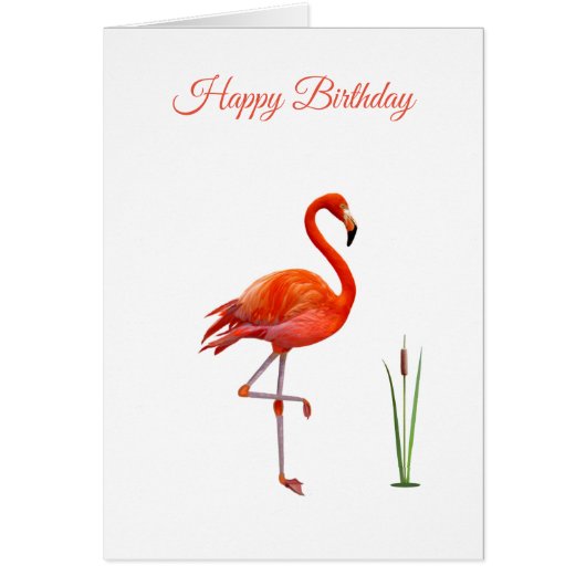 Beauful Pink Flamingo Birthday Kaart (Voorkant)