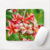Beauful Plumeria Flowers Muismat (Met muis)