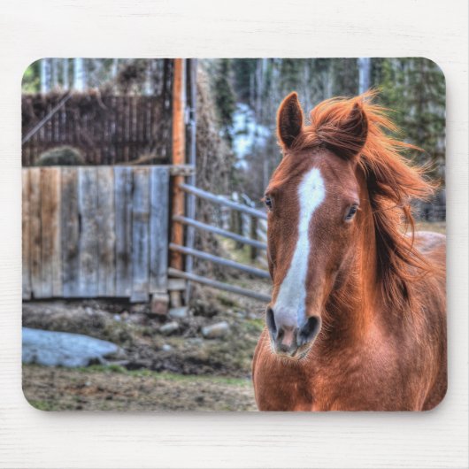 Beauful Red Dun Ranch Horse Equine Muismat (Voorkant)