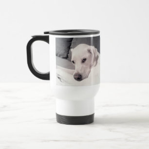 Beauful Regal White Labrador Mix Dog Grey Travel Reisbeker