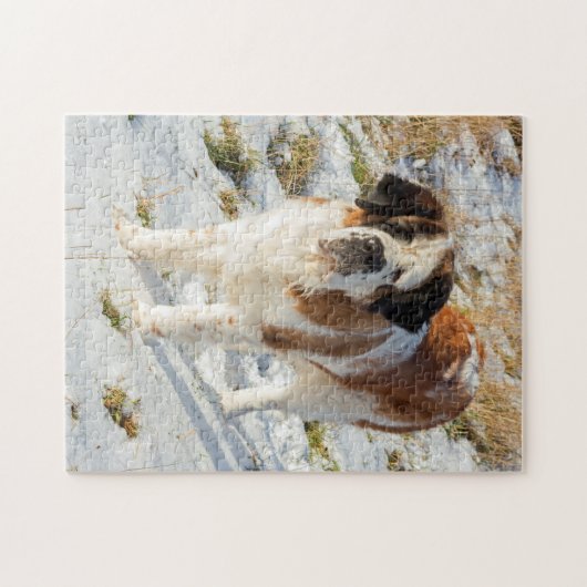 Beauful Saint Bernard-hond Legpuzzel (Horizontaal)