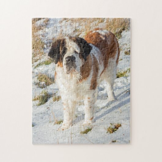 Beauful Saint Bernard-hond Legpuzzel (Verticaal)