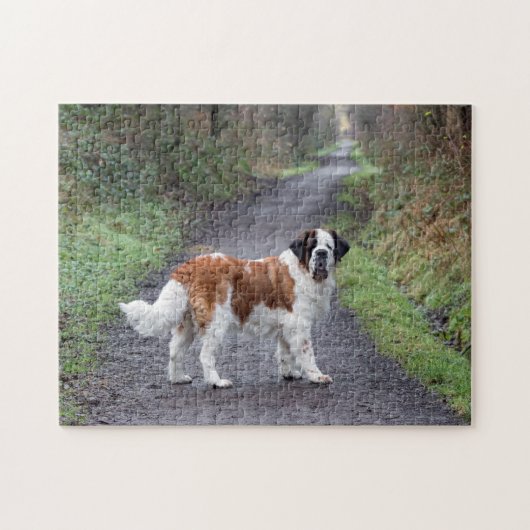 Beauful Saint Bernard-hond Legpuzzel (Horizontaal)