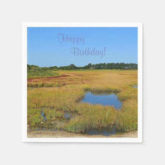 Beauful Salt Water Marsh Servetten (Voorkant)