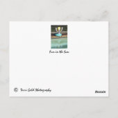 Beauful Sarasota, Briefkaart van Florida (Achterkant)