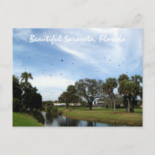 Beauful Sarasota, Briefkaart van Florida