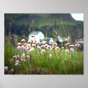 Beauful Schilderachtig Scotland Landscape Afbeeldi Poster