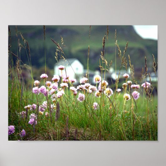 Beauful Schilderachtig Scotland Landscape Afbeeldi Poster (Voorkant)