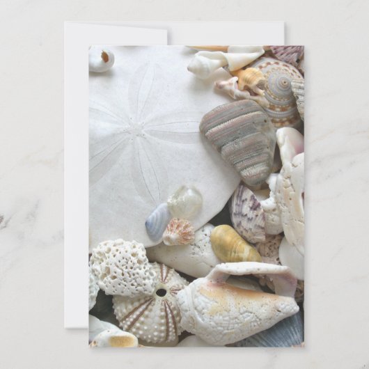Beauful Seashells Birthday Party Invitation Kaart (Achterkant)