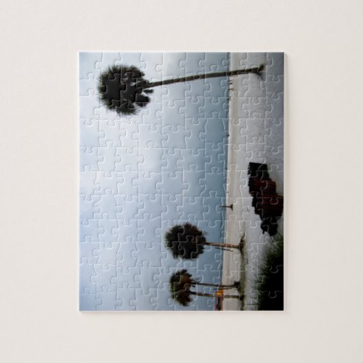 Beauful Siesta Keys Beach Puzzle Legpuzzel (Verticaal)