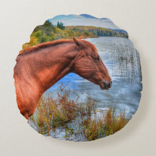Beauful Sorrel Mare & Lake Uitzicht Equine Foto 2 Rond Kussen