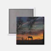 Beauful Southwestern Horse Magnet (Voorkant / Achterkant)