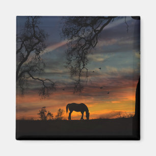 Beauful Southwestern Horse Magnet