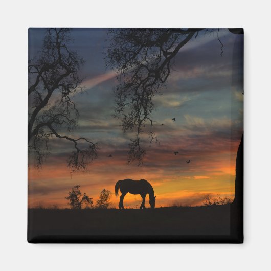 Beauful Southwestern Horse Magnet (Voorkant)