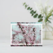 Beauful Spring Cherry Blossom Briefkaart (Staand voorkant)