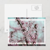 Beauful Spring Cherry Blossom Briefkaart (Voorkant / Achterkant)