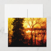 Beauful Sunset Canada behandelt Oranje Gold Sky Po Briefkaart (Voorkant / Achterkant)