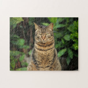 Beauful Tabby Cat Legpuzzel