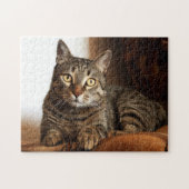 Beauful Tabby Cat Legpuzzel (Horizontaal)