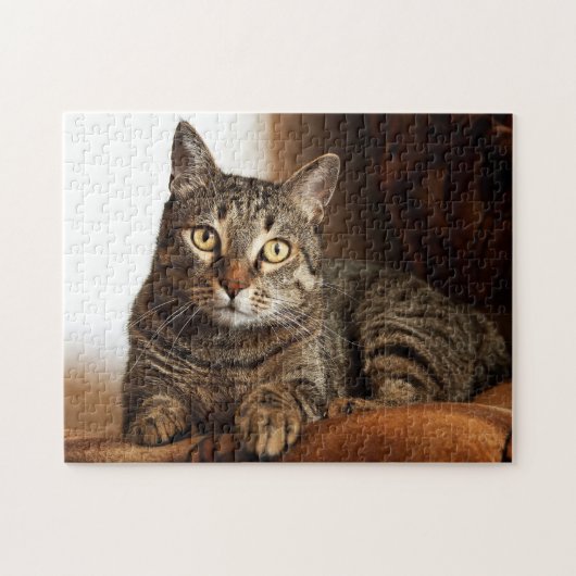 Beauful Tabby Cat Legpuzzel (Horizontaal)