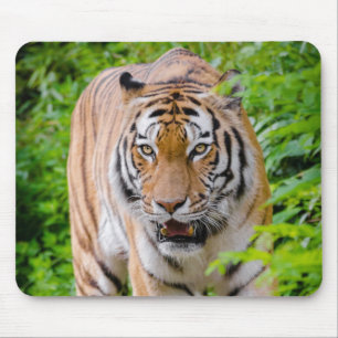Beauful Tiger Mouse Mat Muismat