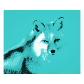Beauful Turquoise Blue Fox Foto Afdruk (Voorkant)