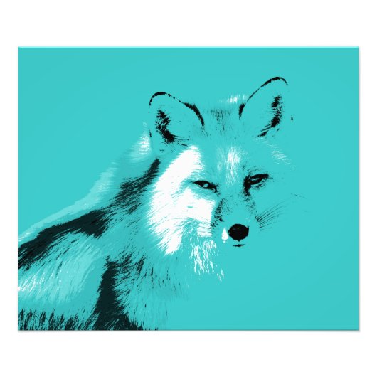 Beauful Turquoise Blue Fox Foto Afdruk (Voorkant)