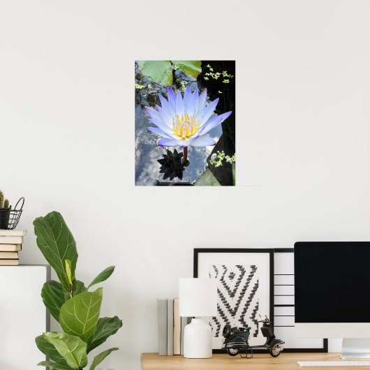 Beauful Water Lilly Foto Poster (Thuiskantoor)