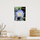 Beauful Water Lilly Foto Poster (Keuken)