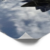 Beauful Water Lilly Foto Poster (Hoek)