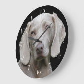 Beauful Weimaraner Hunting Dog Grote Klok (Hoek)