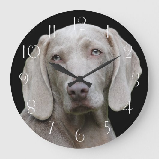 Beauful Weimaraner Hunting Dog Grote Klok (Voorkant)
