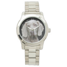 Beauful Weimaraner Hunting Dog