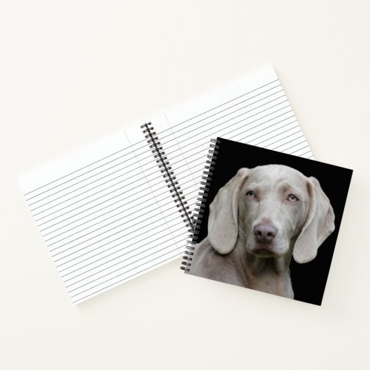 Beauful Weimaraner Hunting Dog Notitieboek (Binnen)