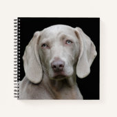 Beauful Weimaraner Hunting Dog Notitieboek (Voorkant)