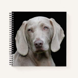 Beauful Weimaraner Hunting Dog Notitieboek