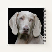Beauful Weimaraner Hunting Dog Notitieboek (Achterkant)