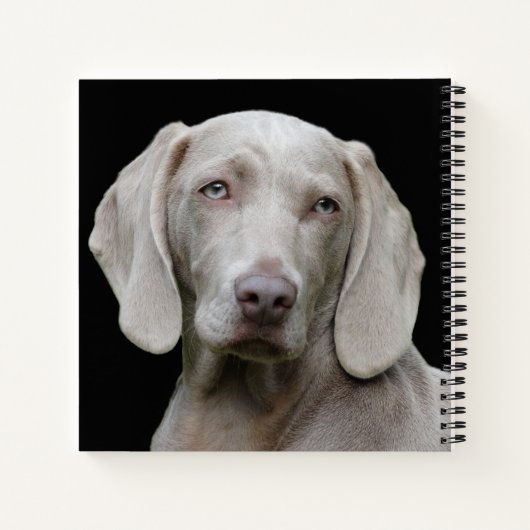 Beauful Weimaraner Hunting Dog Notitieboek (Achterkant)