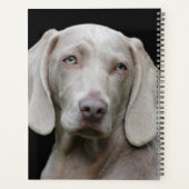 Beauful Weimaraner Hunting Dog Planner (Achterkant)