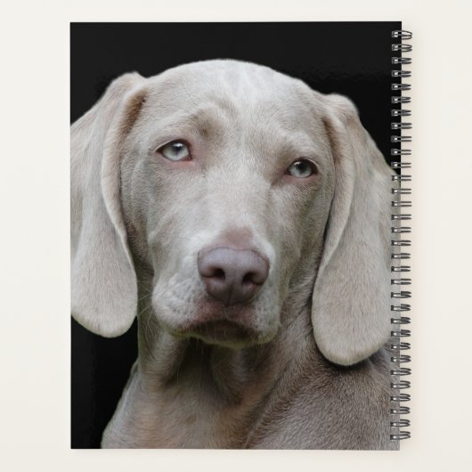 Beauful Weimaraner Hunting Dog Planner (Achterkant)
