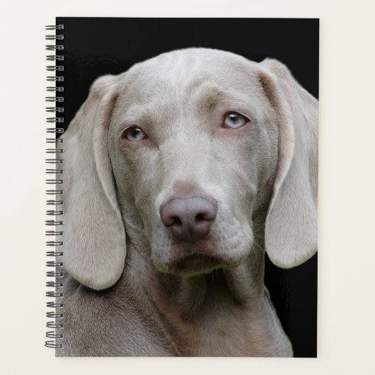 Beauful Weimaraner Hunting Dog Planner (Voorkant)