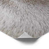 Beauful Weimaraner Hunting Dog Poster (Hoek)