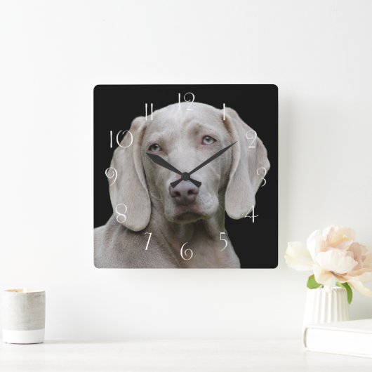 Beauful Weimaraner Hunting Dog Vierkante Klok (Huis)