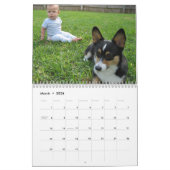 Beauful Welsh Corgi Calendar Kalender (Mar 2026)