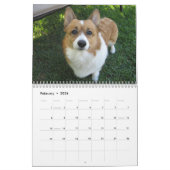 Beauful Welsh Corgi Calendar Kalender (Feb 2026)