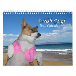 Beauful Welsh Corgi Calendar Kalender