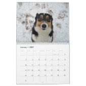 Beauful Welsh Corgi Calendar Kalender (Jan 2027)