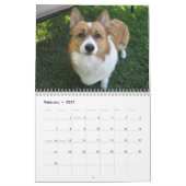 Beauful Welsh Corgi Calendar Kalender (Feb 2027)