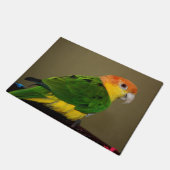 Beauful White Bellied Caique Parrot Posing Deurmat (Schuin)