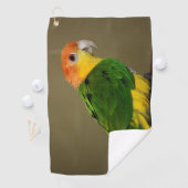 Beauful White Bellied Caique Parrot Posing Golfhanddoek (Insitu)